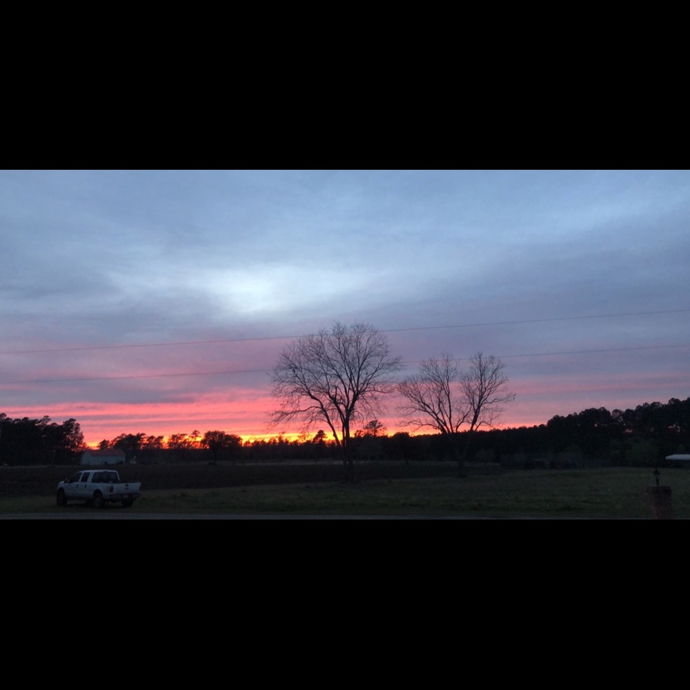 Meet your Posher, Courtney